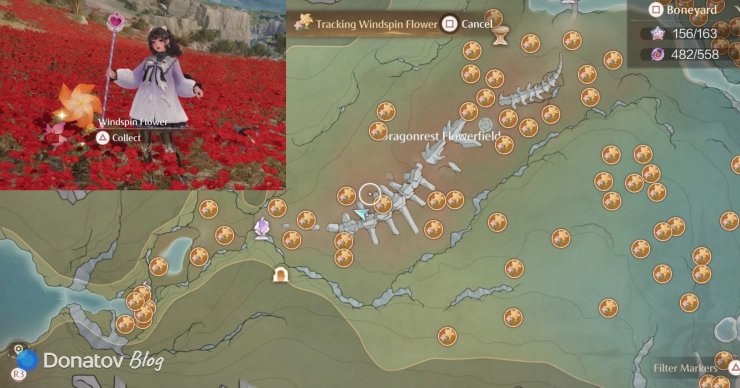 Где найти Windspin Flower в Infinity Nikki