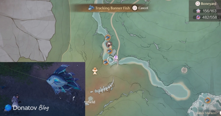 Где найти рыбу Banner Fish в Infinity Nikki