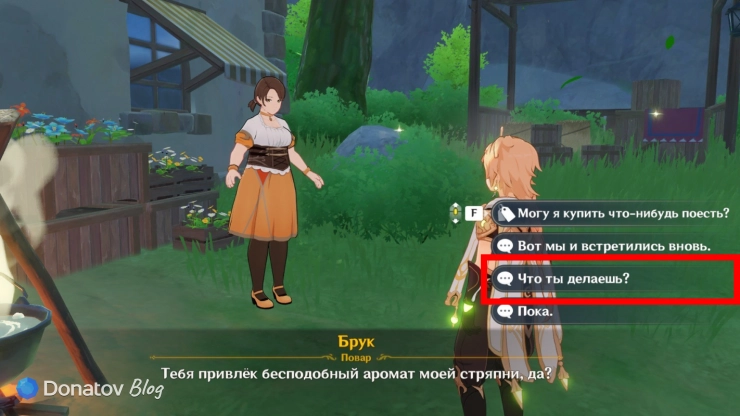 Варианты в диалоге с Брук в Genshin Impact