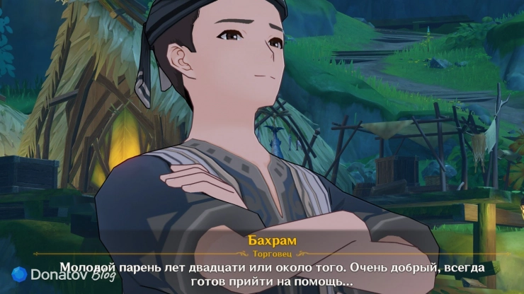 Описание пропавшего от Бахрама в Genshin Impact