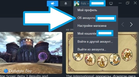Раздел «Об аккаунте» в меню Steam
