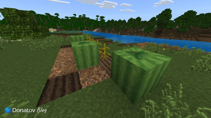 Арбузы в Minecraft