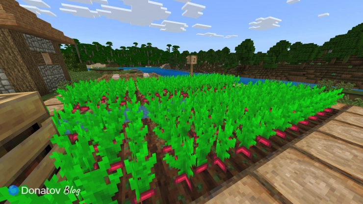 Свёкла в деревне в Minecraft