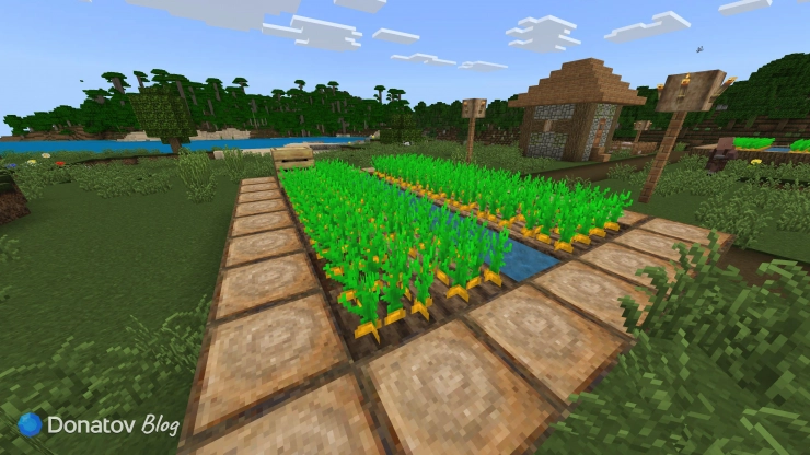 Грядка с водой в Minecraft