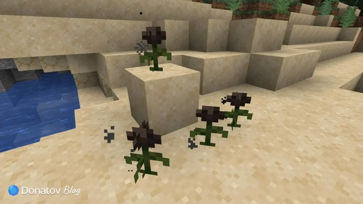 Роза иссушения в Minecraft