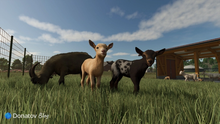 Farming Simulator 25 на Xbox: кооператив